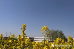 疫情已經得到控制歡迎寧夏現(xiàn)場合伙人來訪鋁塑煉油設備